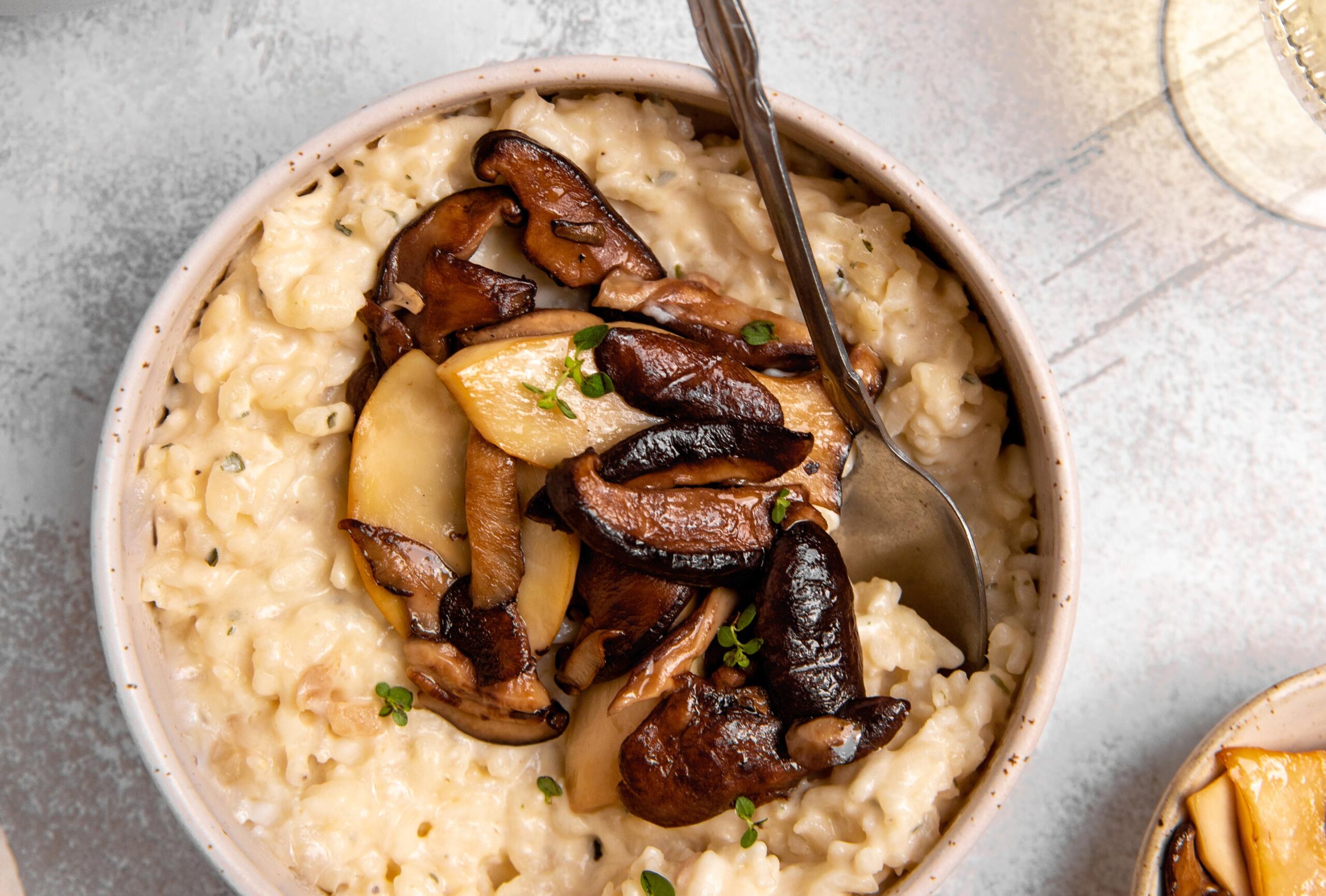 Wild Mushroom and Caramelized Onion Risotto in a bowl